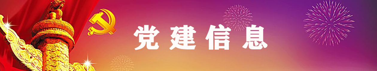 党建信息