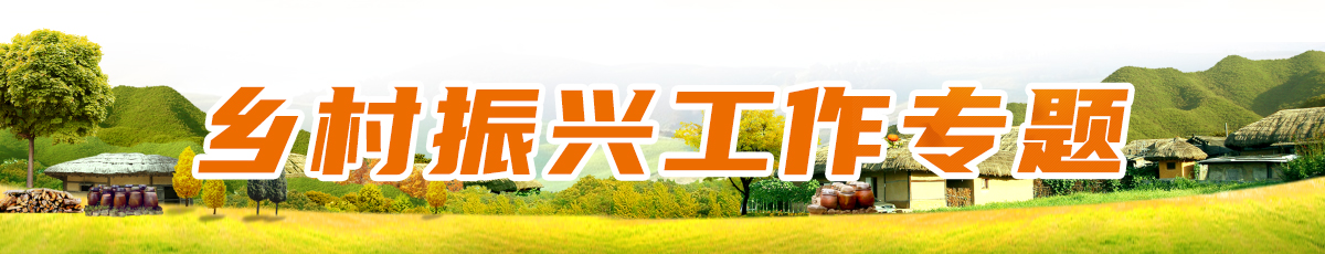 乡村振兴工作专题